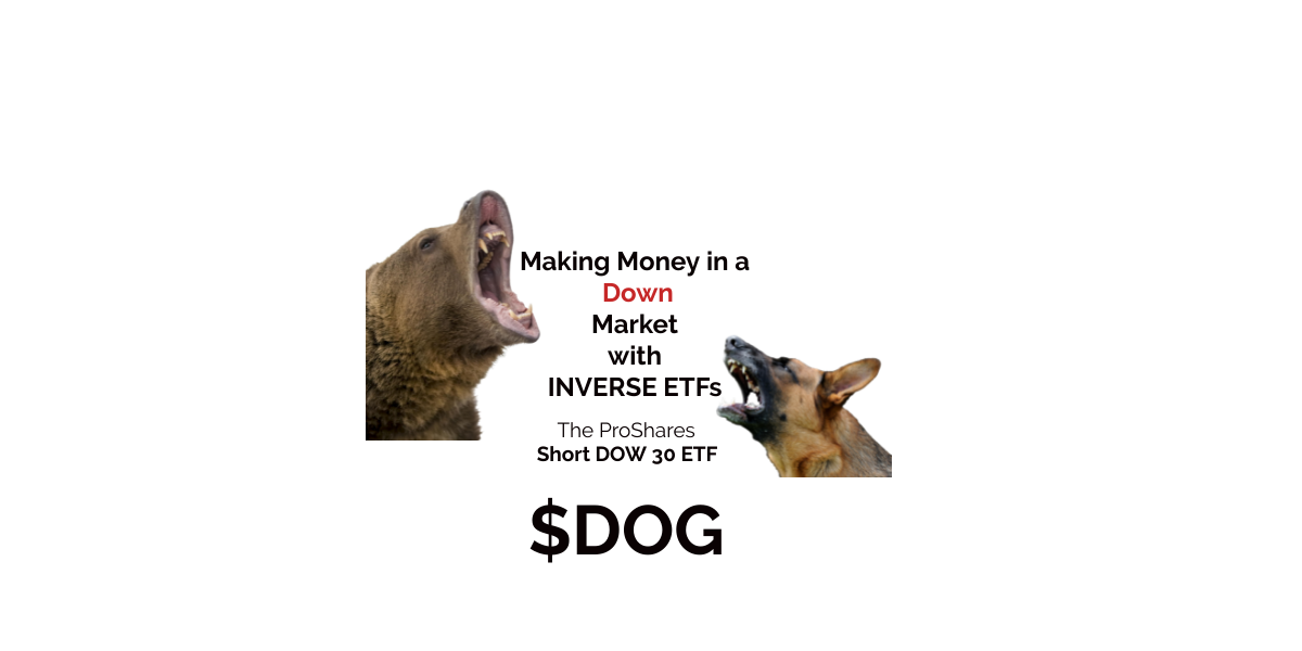 DOG Blog graphic